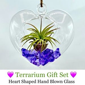 HEART Shaped TERRARIUM Gift Set - Hand Blown Glass & Acrylic Gems FREE Air Plant